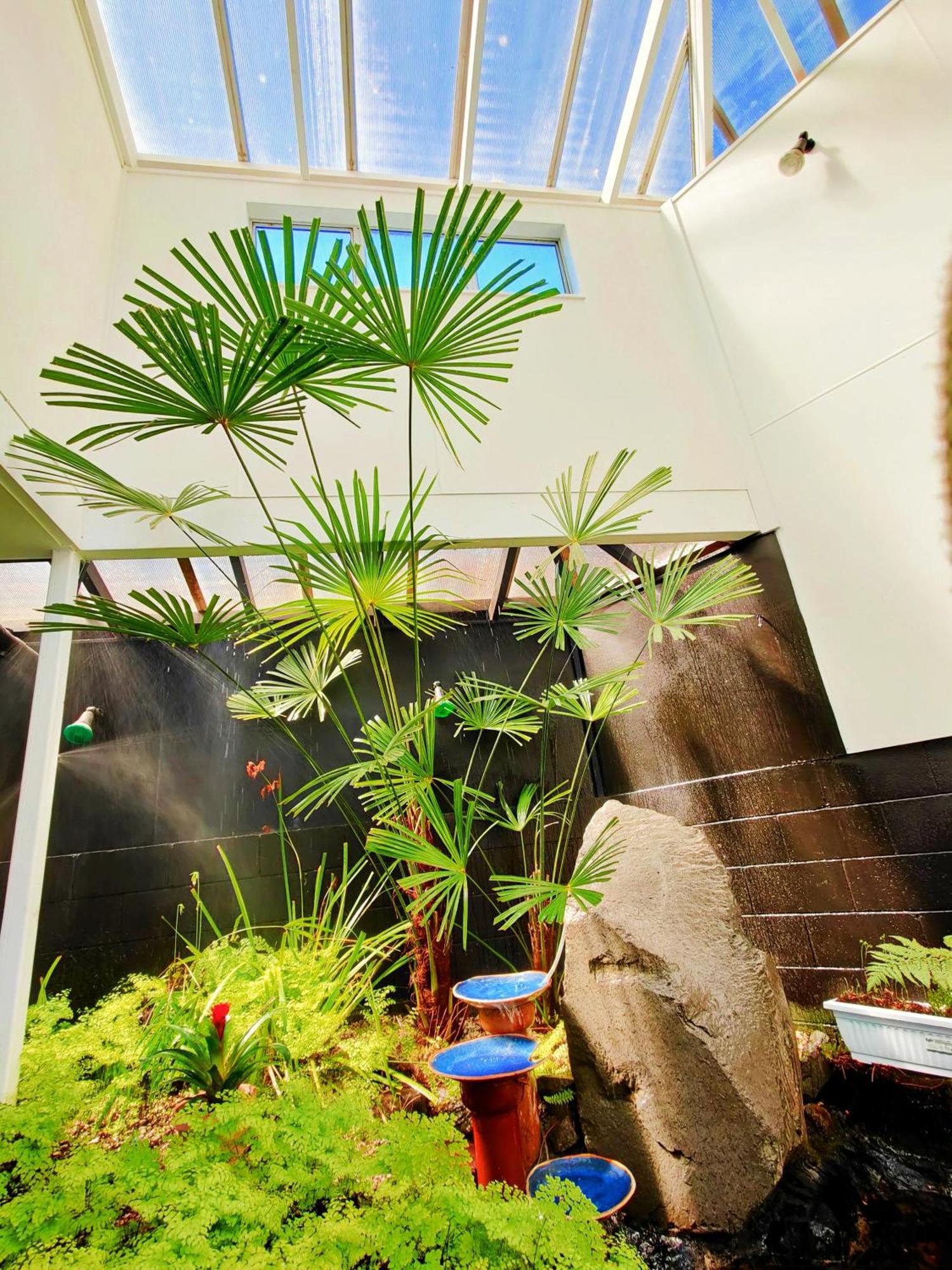 Delight In Birch-Lake View Holiday Home Taupo Bagian luar foto